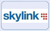 CS Mini в Skylink? CS Mini в Skylink?