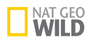 Телеканал Nat Geo Wild HD появился на Платформе HD